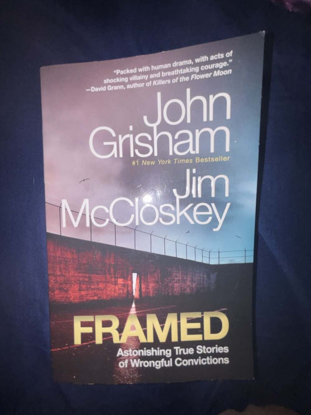Framed: Astonishing True Stories of Wrongful Convictions